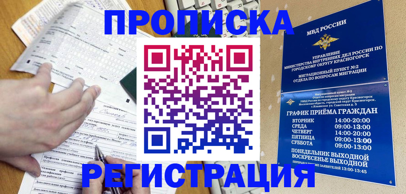 купить прописку в Новосибирской области